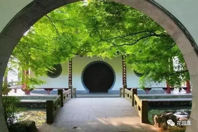 庭院之中來扇月洞門，滿滿的氛圍感！